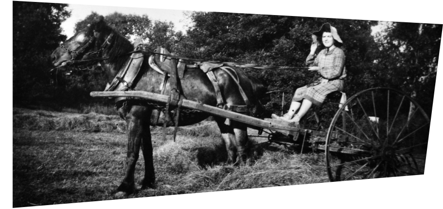 Gestion et valorisation de photographies anciennes​​ de portraits sur terre
