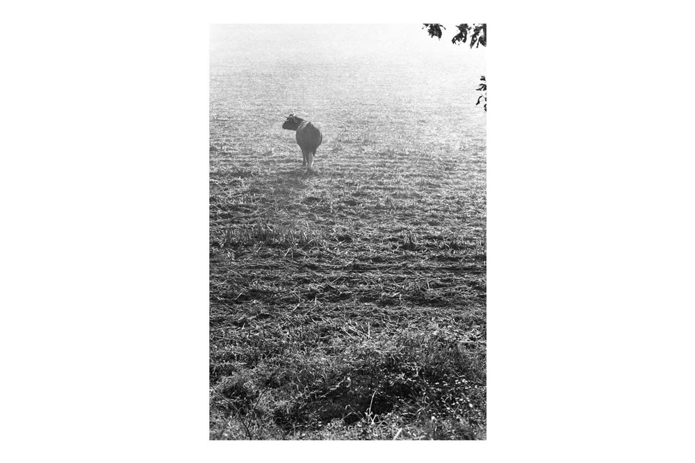 reportages_récits_photographiques_la_save_37